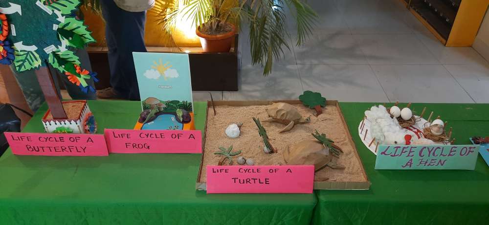 Popup Image