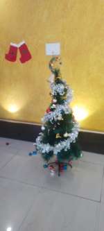 picture 1