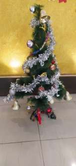 picture 1
