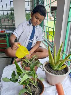 picture 1